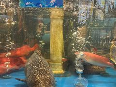 -琼菜人家·海南菜·文昌鸡(文昌大道店)