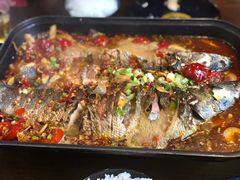 -川椒媚双椒烤鱼(鑫江东方城购物中心店)