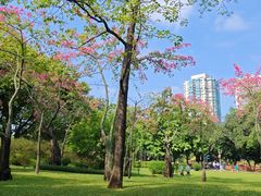 -晓港公园