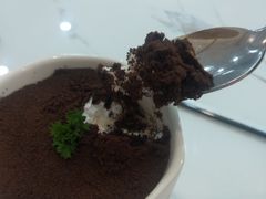 -喵园·猫主题咖啡厅·撸猫·猫咖(国贸店)