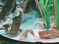 -沈阳海洋探索中心