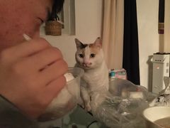 -椰子下蛋(南锣鼓巷店)