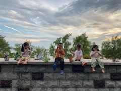 -宝安西湾红树林湿地公园