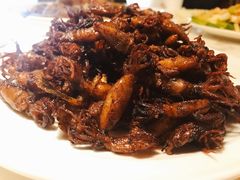 -日丰园海肠水饺·老字号大连海鲜(和平广场店)