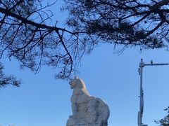 -帽儿山国家森林公园