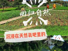 -宁波浙东大竹海景区