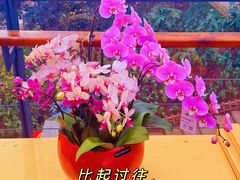 -沈阳植物园