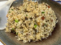 -蘑统田下·野生菌火锅