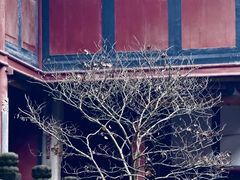 -都江堰普照寺