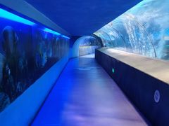 -太平洋海底世界