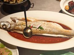 清蒸白水鱼-醉庐·新上海菜(南京西路店)