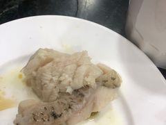 -齐海鱼圣深海石斑鱼火锅店(极地海洋世界店)