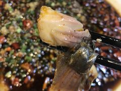 壁山来凤鱼-姑奶奶老厨房(南坪路总店)