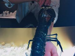 法国野生蓝龙虾-OSTRA
