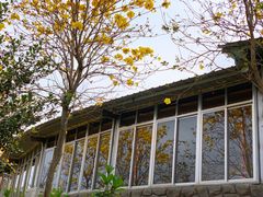 -田园寨农园观光园