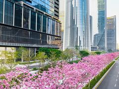 -深圳湾万象城(南山店)