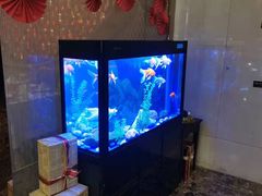 水产区-宜昌富力皇冠假日酒店·咖啡1号西餐厅