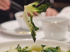 白菜仔-东富酒家(龙湖西溪天街店)