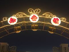-武汉知音号