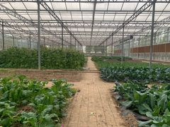 -甜心庄园·甜心草莓采摘园(西青中北店)