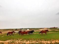 -敕勒川草原文化旅游区