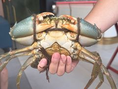 -Ministry of Crab•MOC(交子大道店)