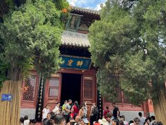 -洛阳白马寺
