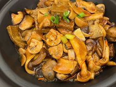 野山菌黑豆腐-峨嵋酒家(地安门店)