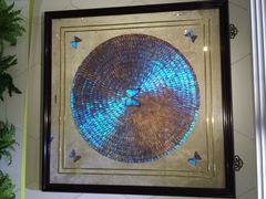 iphone_upload_pic-上海昆虫博物馆