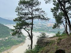 -铁山坪森林公园