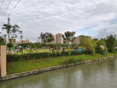 -菊园百果园