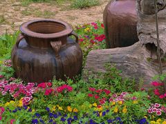 -洛阳郁金香牡丹园