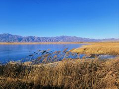-野鸭湖国家湿地公园