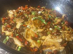 -肥鱼屯活鱼锅(惠工街店)