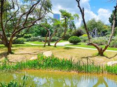 -人民公园(罗湖区)