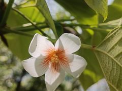 -舒家湾天主教堂