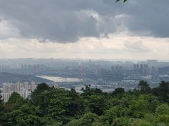 -铁山坪森林公园