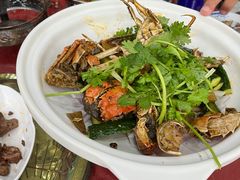 -武汉紫薇都市田园