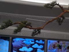 -刀板香·安徽菜(国购IFC店)