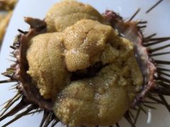 -海胆小馆(东北水饺·春柳店)