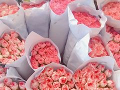 -三圣花乡旅游区