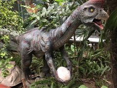 -呀路古热带植物园