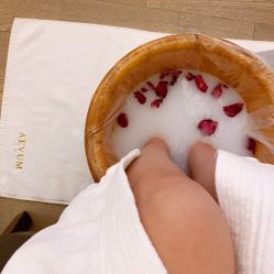 -奥斯芬欧系贵族SPA