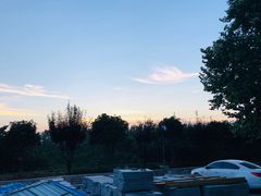 -上海市保健医疗中心