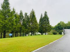 -贡湖湾湿地公园