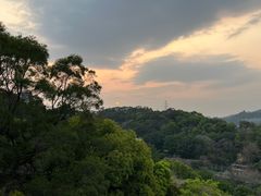 -福道
