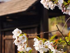 -太白山御龙湾温泉