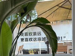 -芭厘·农庄老字号.电饭煲五指毛桃焗鸡