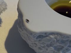 -亚特兰蒂斯•OSSIANO奥西亚诺海底餐厅