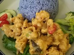 -马来MO简餐.南洋风味料理(美食街店)